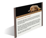 JOISO Website provider template